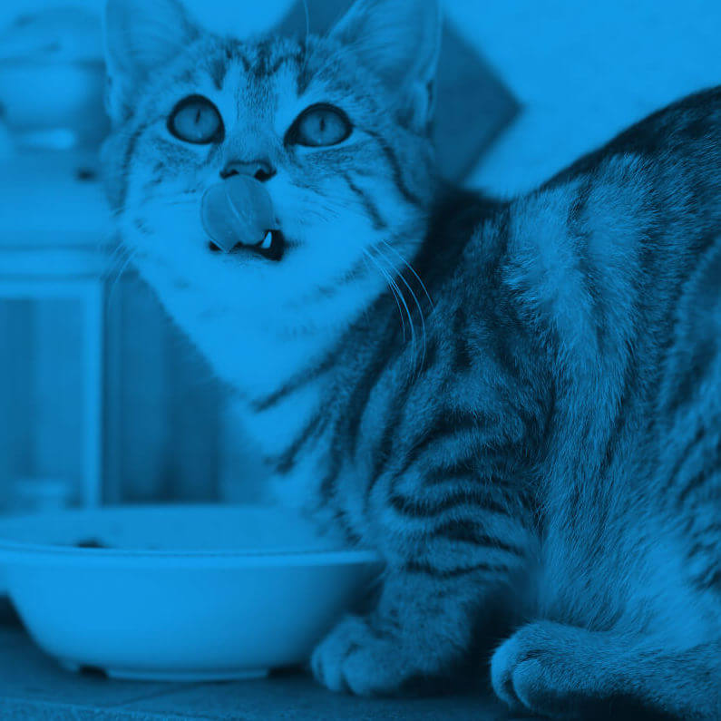 Featured food delivery